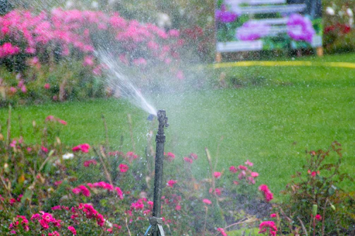 A vibrant garden with a newly installed irrigation system watering colorful flowers.