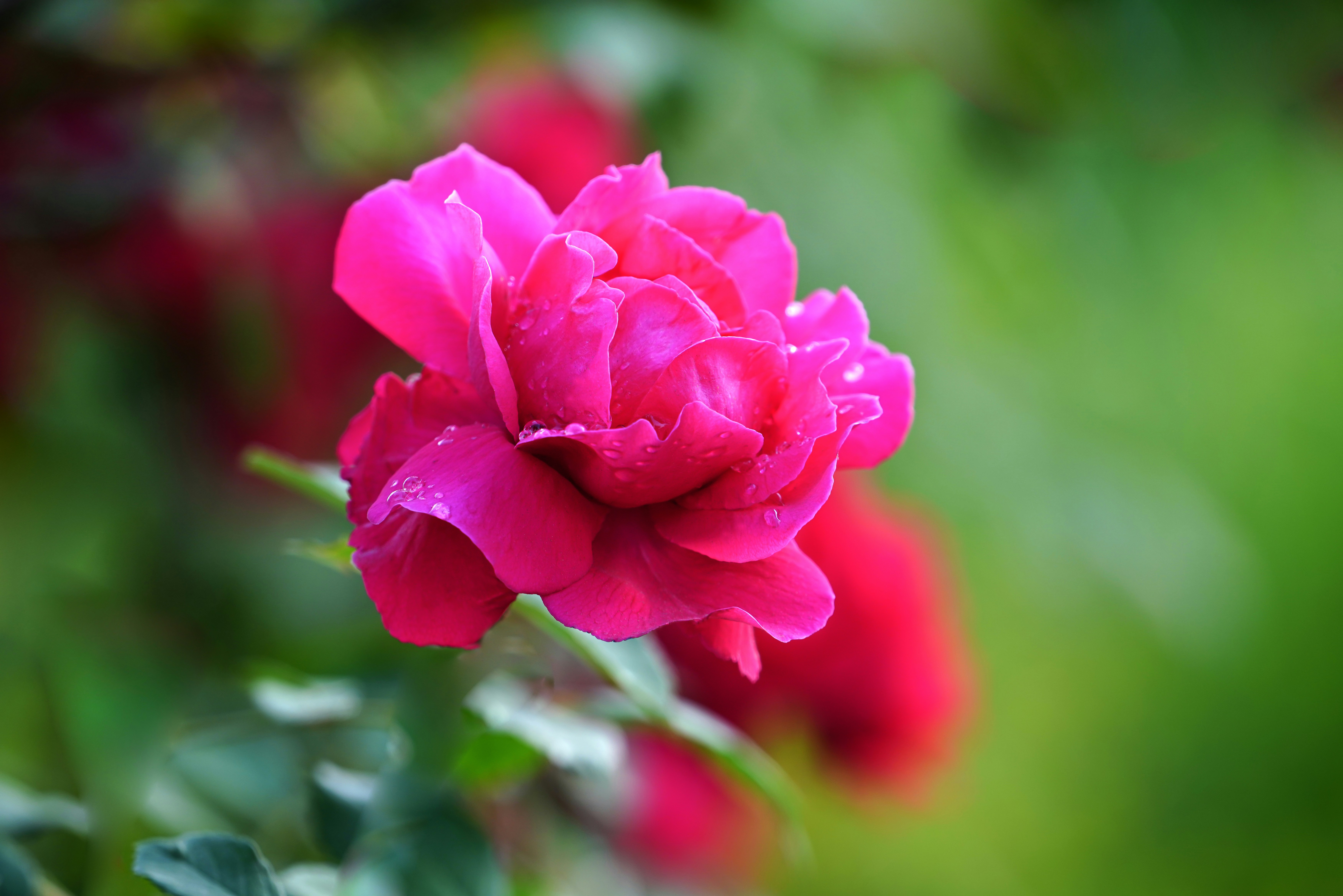 Photo by kim_dae_jeung