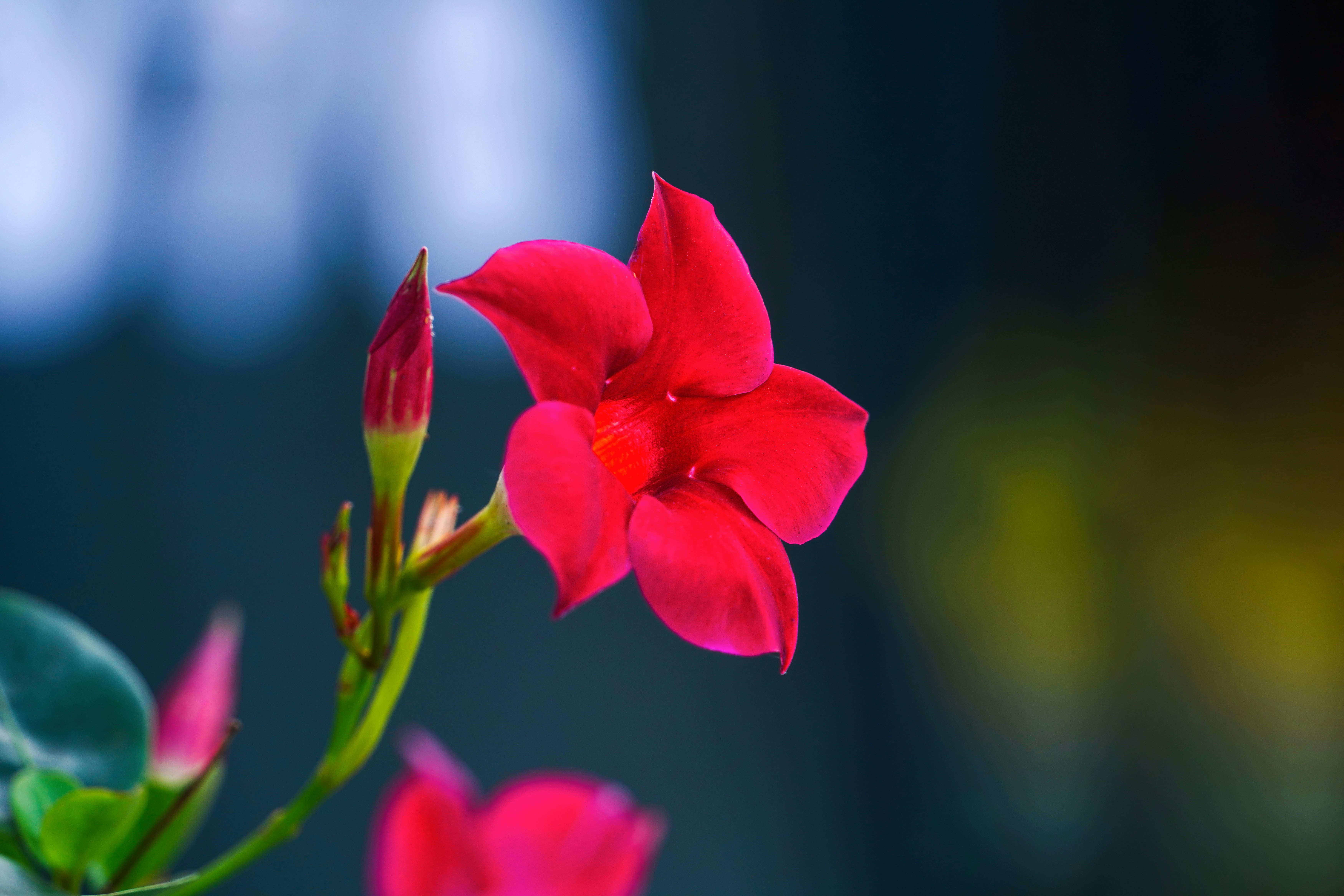 Photo by kim_dae_jeung