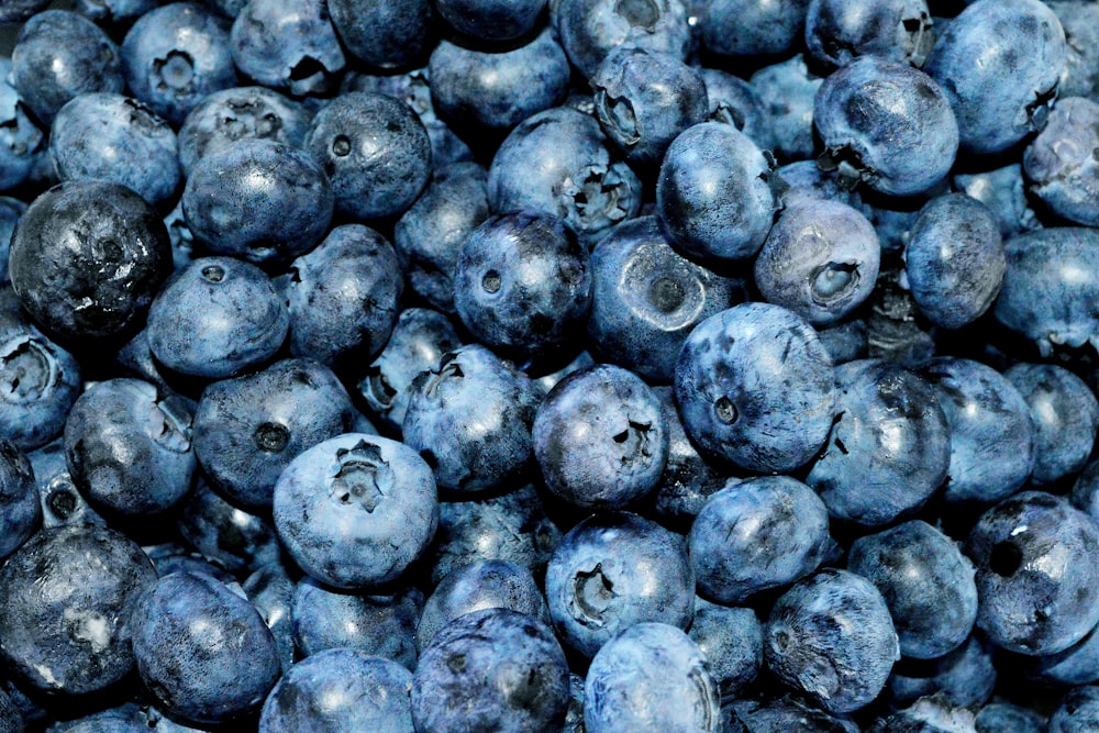 a pile of blueberries sitting next to each other