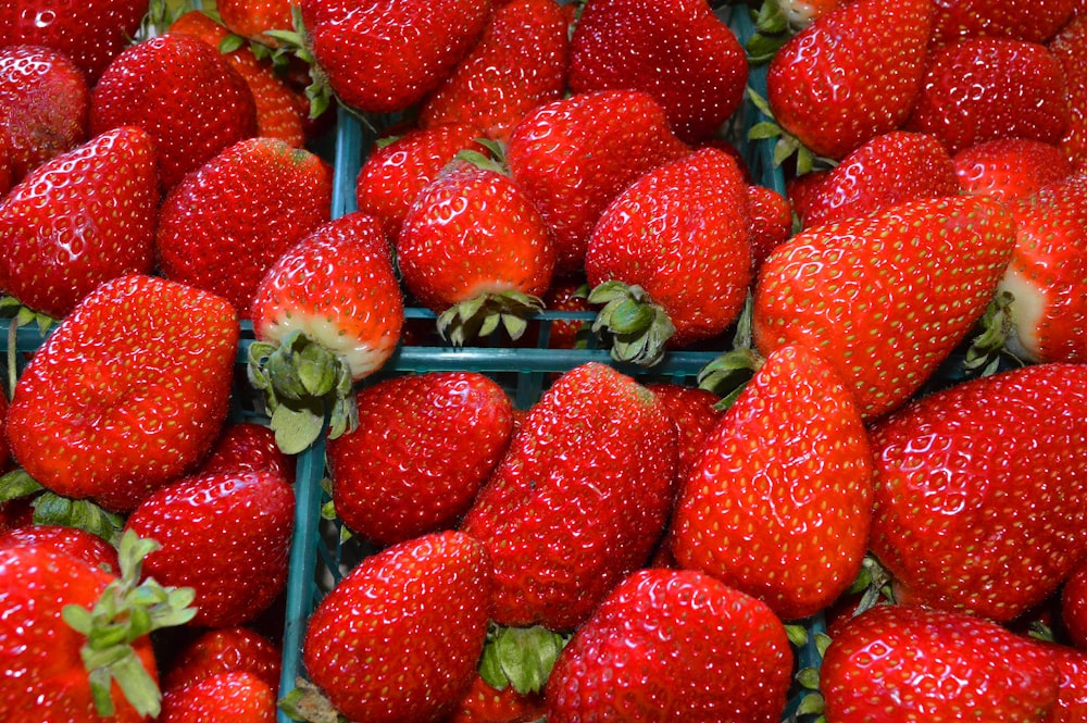 a close up of a bunch of strawberries