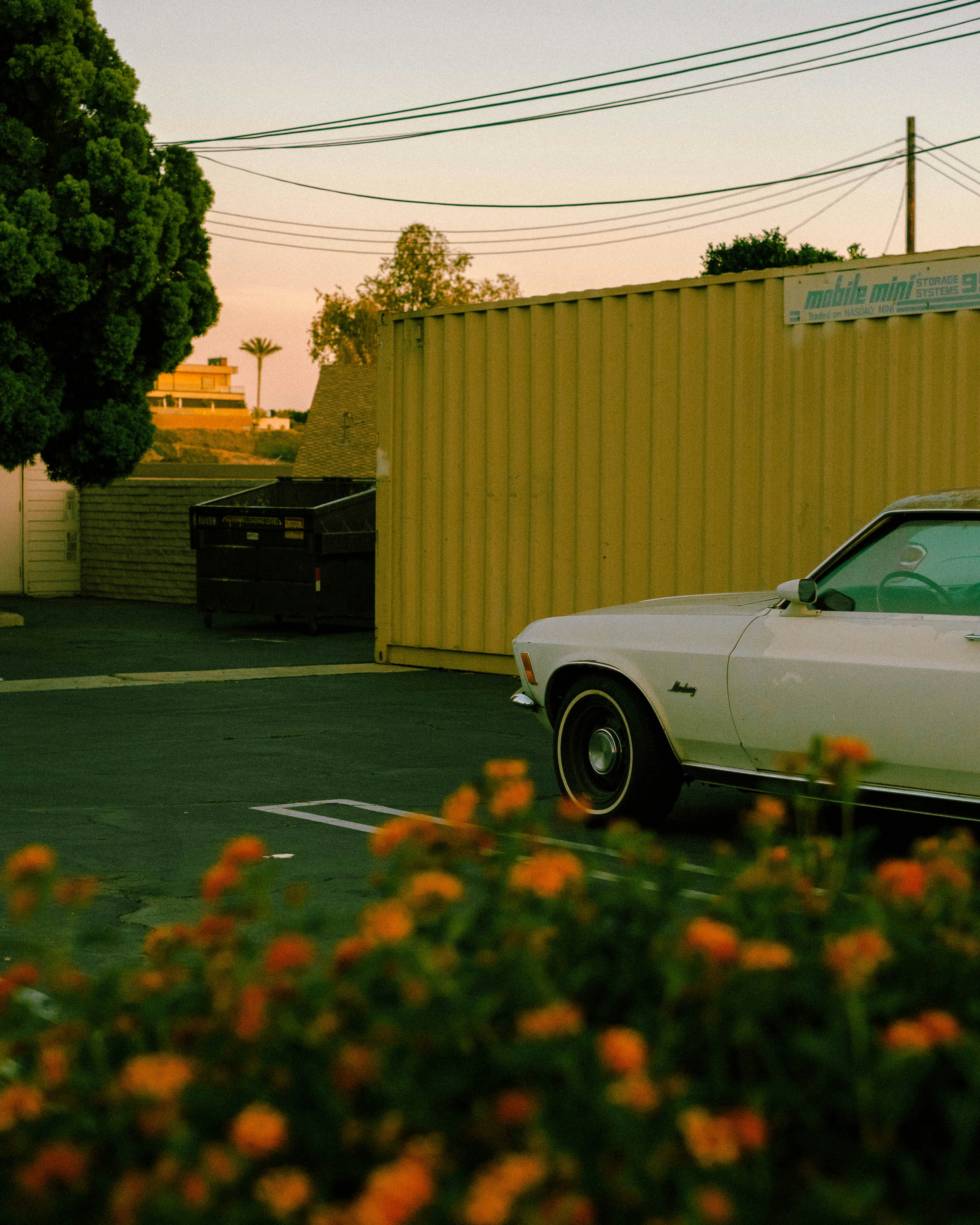 Photo by mattxfotographs