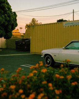 A vintage white car is parked next to a large yellow shipping container in an industrial area. The scene is accented by a tree on the left side and some blooming orange flowers in the foreground. Overhead power lines stretch across the sky, with buildings in the background under the warm glow of the setting sun.