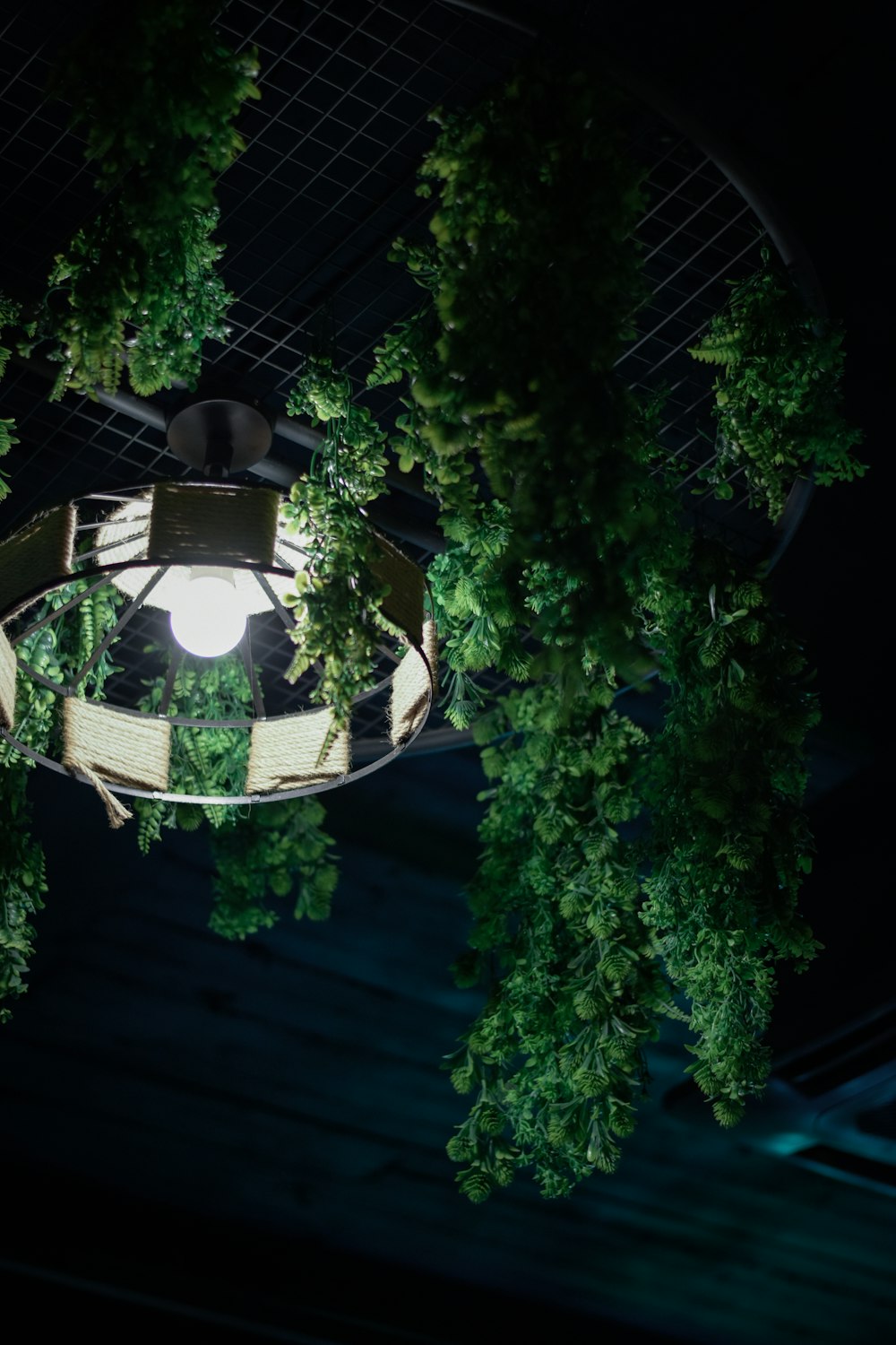 an overhead view of a table and chairs surrounded by trees