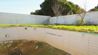An empty and abandoned swimming pool with overgrown grass and weeds surrounding the perimeter. The walls of the pool show signs of discoloration and neglect. A white concrete wall encloses the area, with a few sparse, leafless trees visible in the background. Bright sunlight casts shadows and highlights the green foliage.