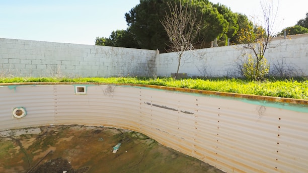 An empty and abandoned swimming pool with overgrown grass and weeds surrounding the perimeter. The walls of the pool show signs of discoloration and neglect. A white concrete wall encloses the area, with a few sparse, leafless trees visible in the background. Bright sunlight casts shadows and highlights the green foliage.