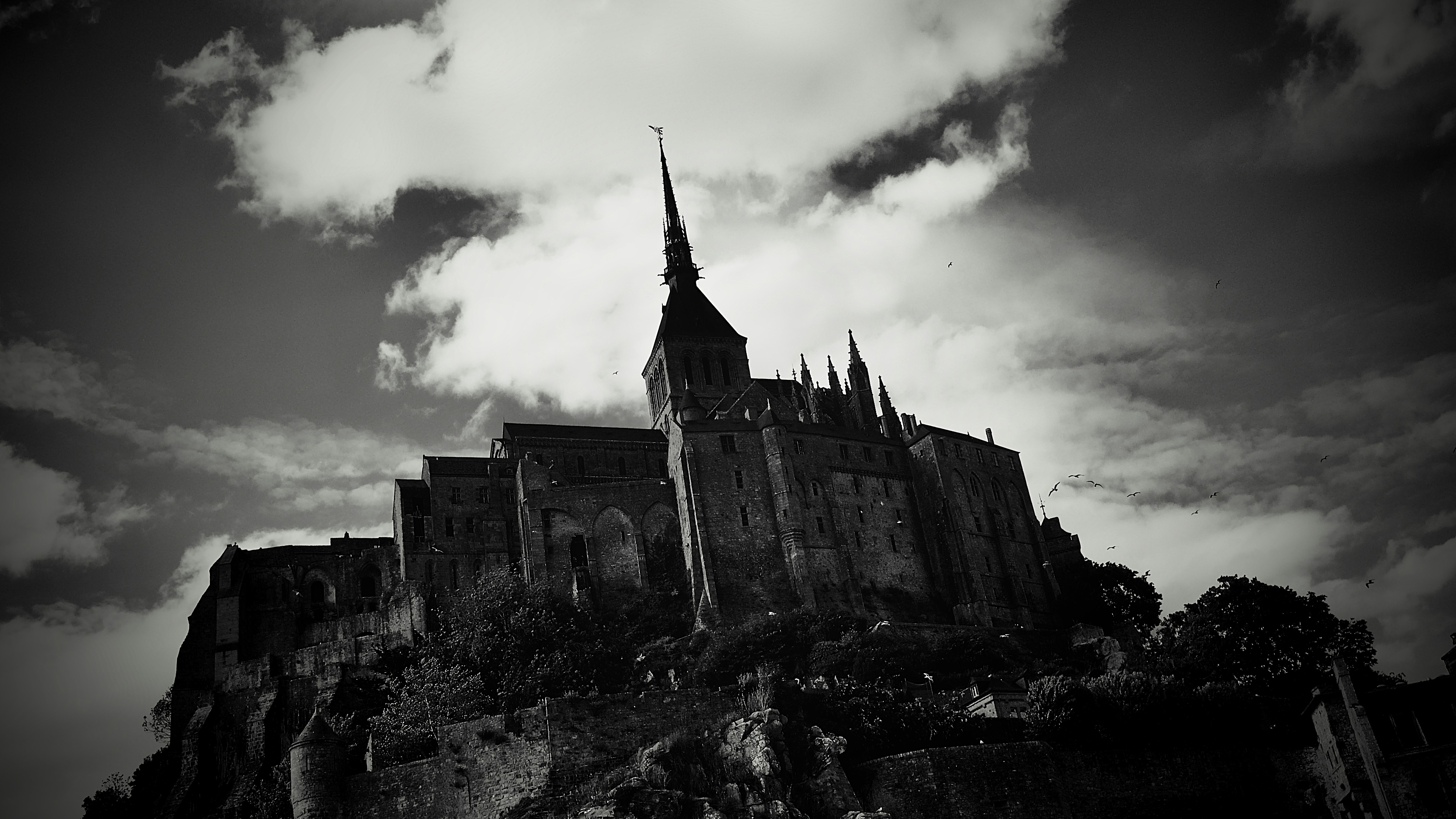 Photo by christiangafenesch