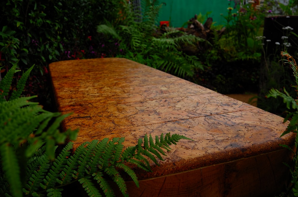 a wooden bench surrounded by plants and flowers