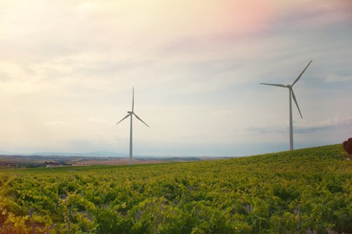 Two large wind turbines stand prominently in the center of a sprawling green field. The landscape is lush with rows of vegetation, likely a vineyard or crops. The sky above is filled with soft, diffused clouds, creating a serene and peaceful atmosphere.