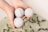 A pair of hands is holding three light-colored spherical objects, likely bath bombs, over a bath filled with water and floating lavender sprigs.
