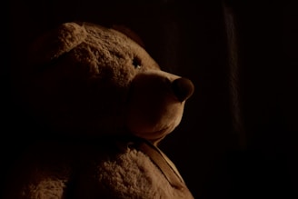 A teddy bear is partially illuminated with warm, soft lighting coming from the side, creating a shadowed effect on one half. The bear appears plush and soft, with a rounded snout and small eyes that are visible in the light.