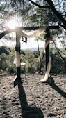 A scenic outdoor setting with a wooden arch decorated with white drapery and floral arrangements. Sunlight filters through the trees, creating dappled shadows on the ground. The backdrop reveals a lush, green landscape with distant hills.