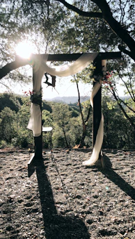 A scenic outdoor spot with soft natural light, perfect for an engagement shoot.