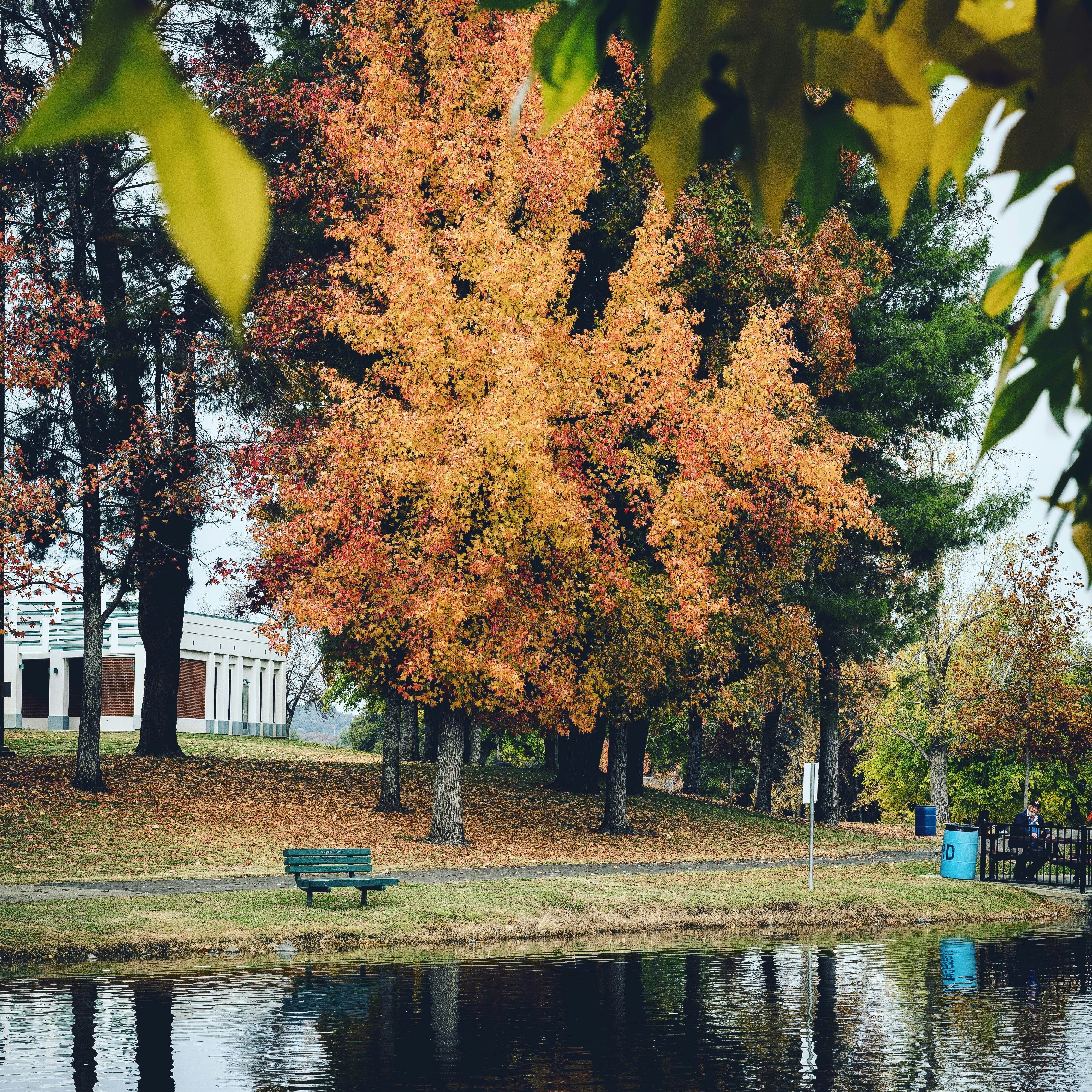 A park bench sitting next to a body of water photo – Free Pond Image on ...