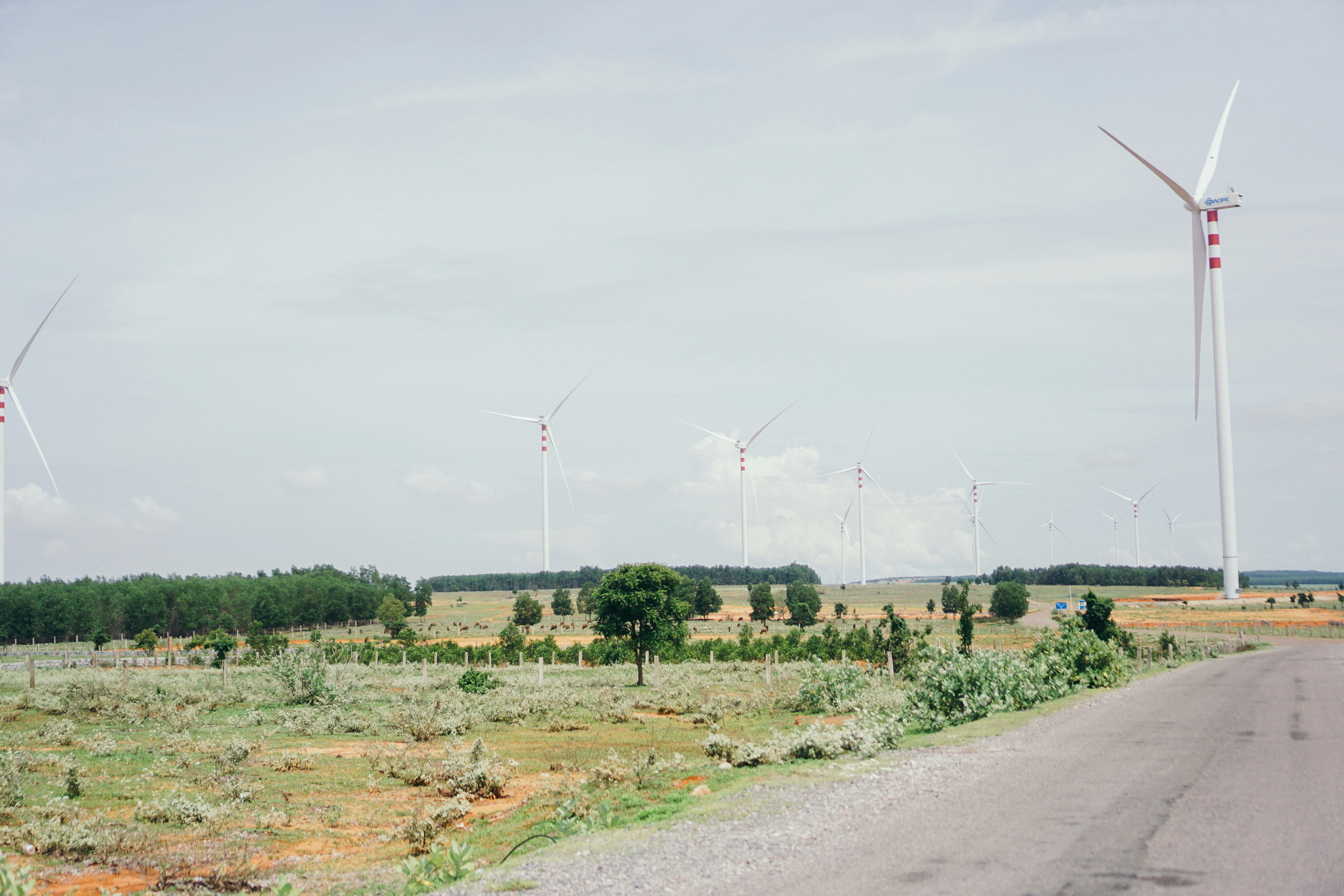 several wind turbines on the side of a road