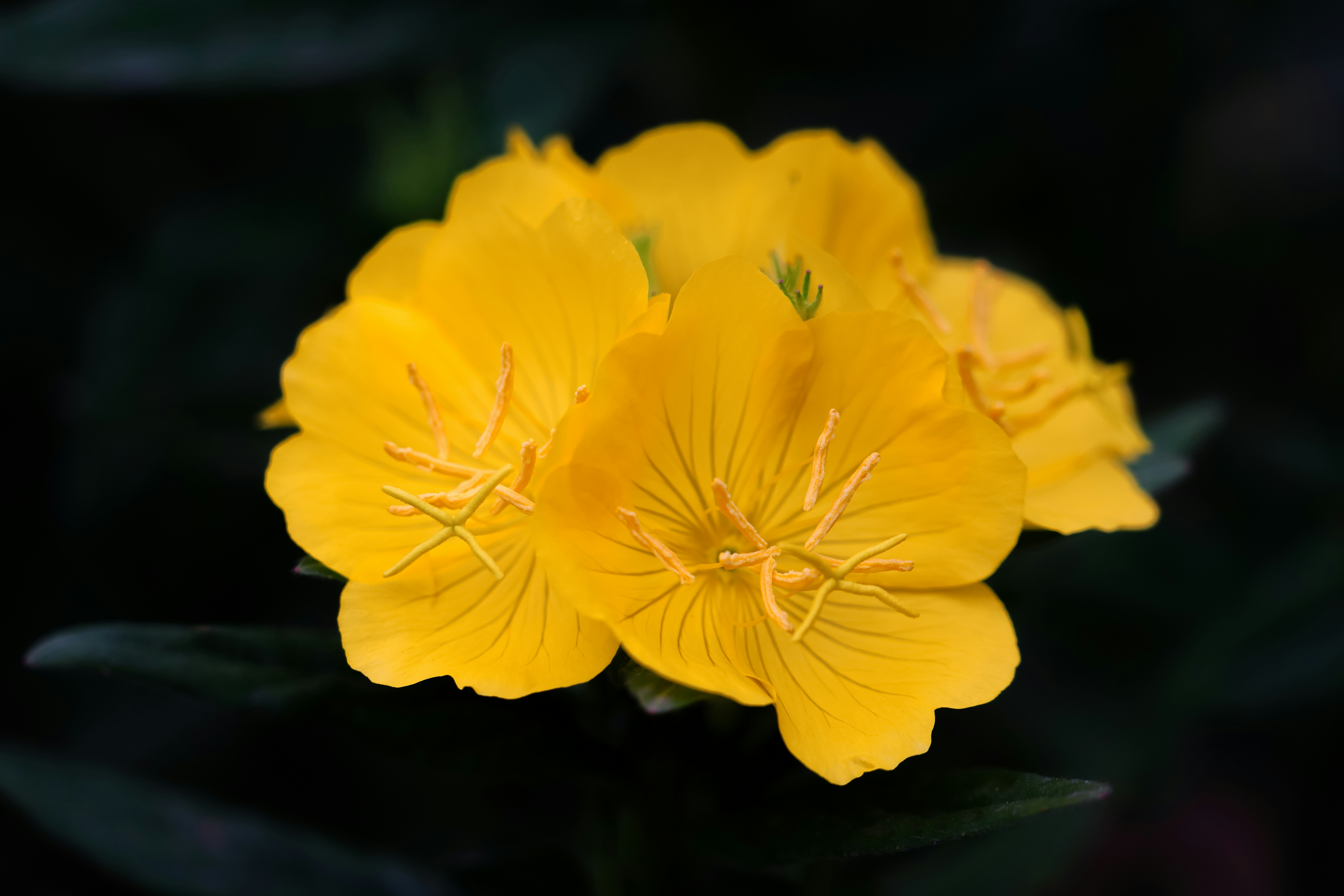 Photo by kim_dae_jeung