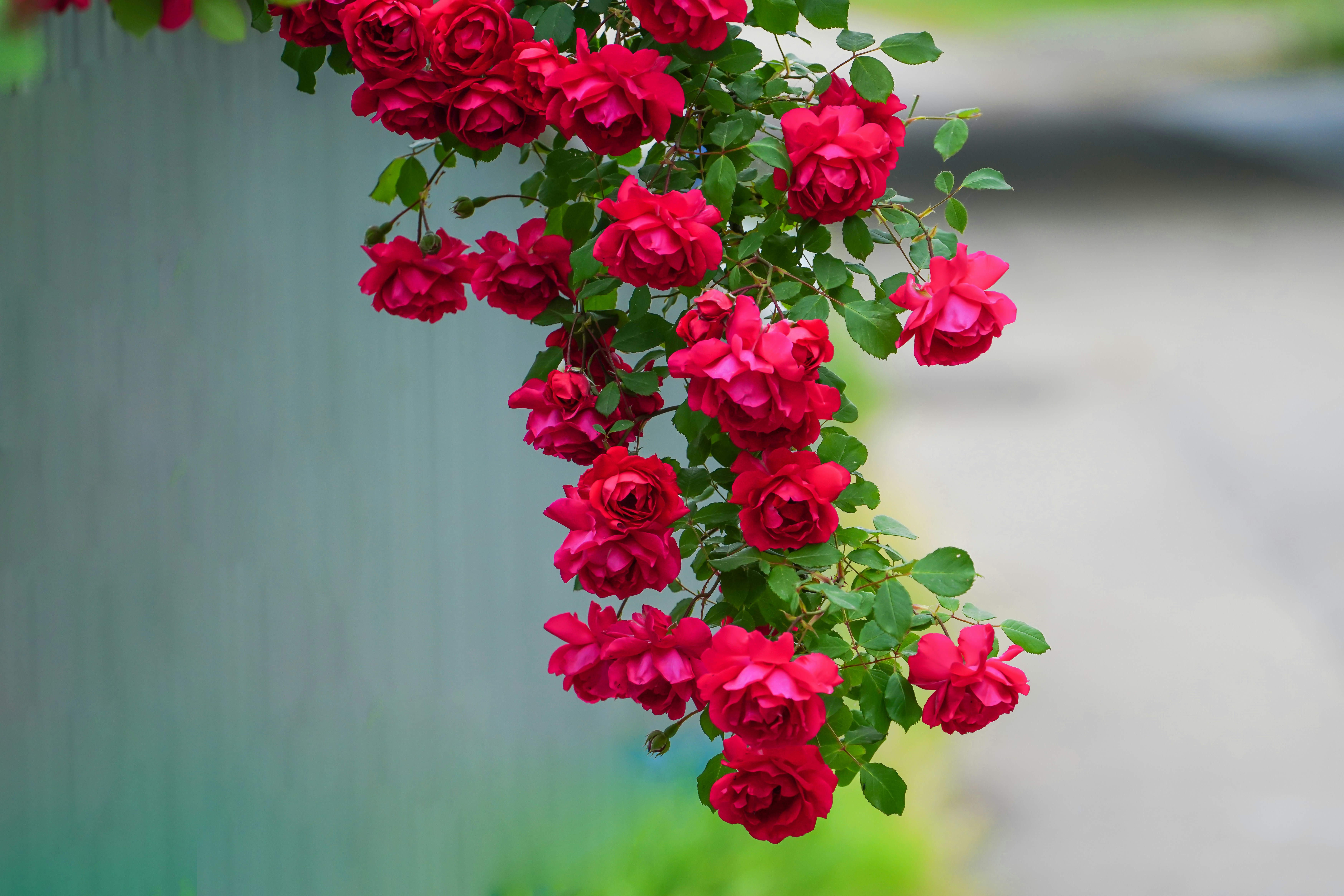 Photo by kim_dae_jeung