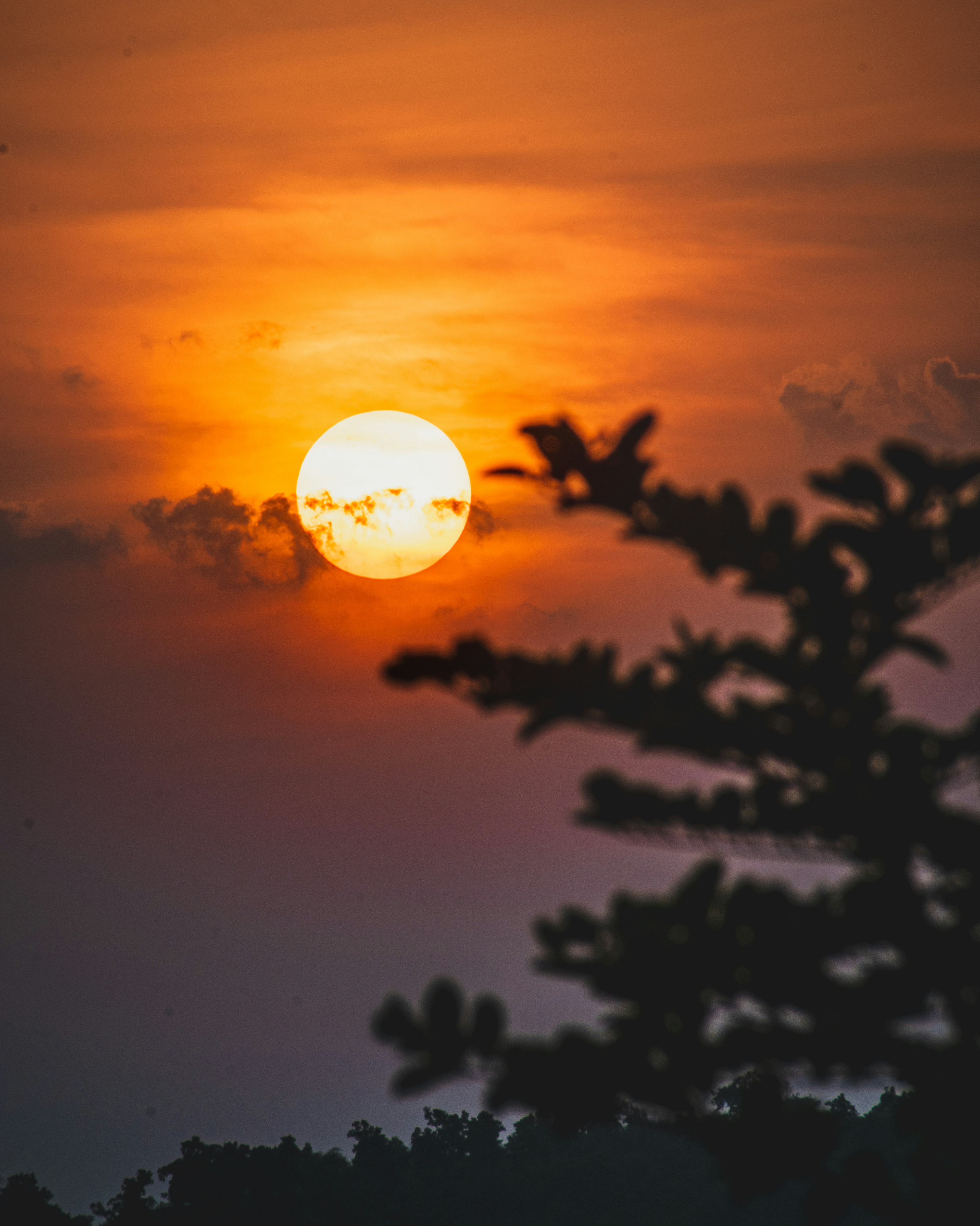 Photo by saim_al_haque