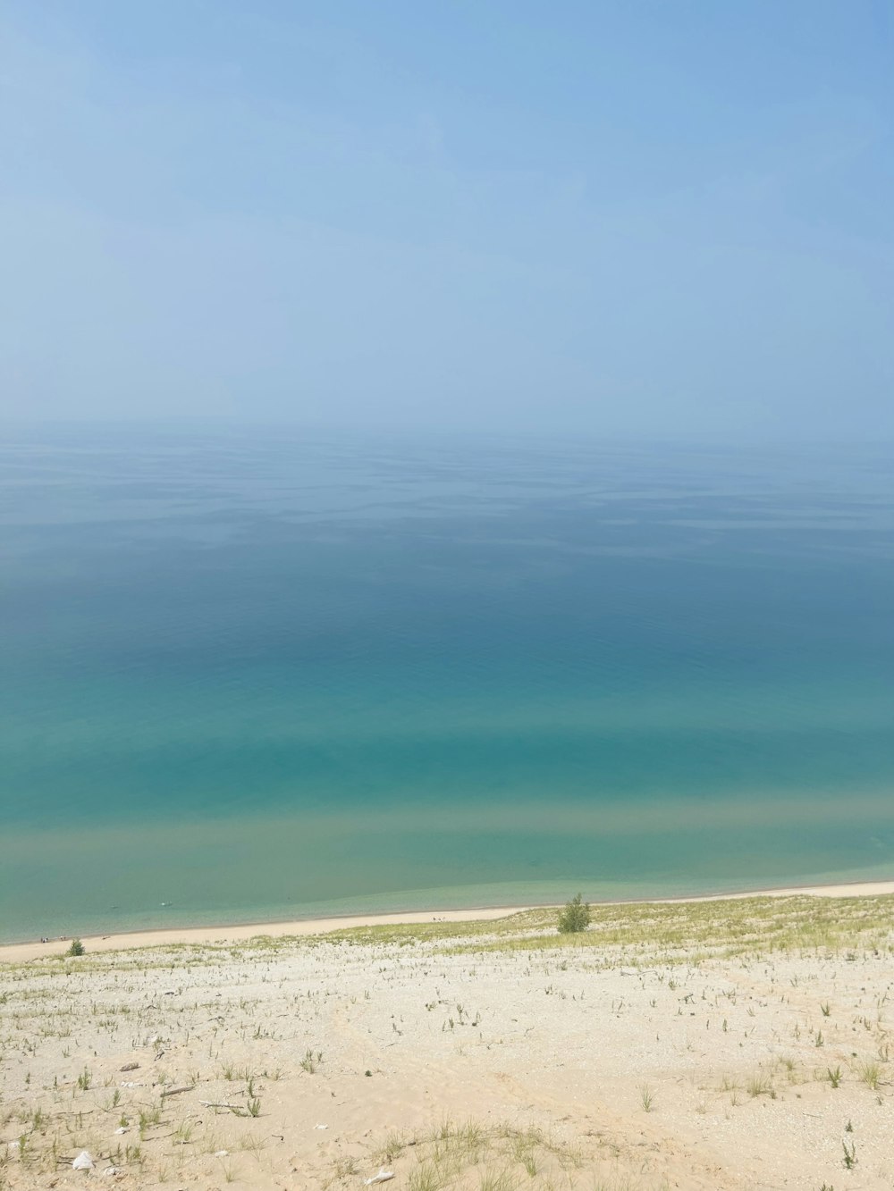 a lone horse standing on a beach next to the ocean