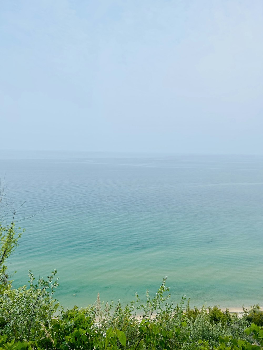 a view of the ocean from the top of a hill