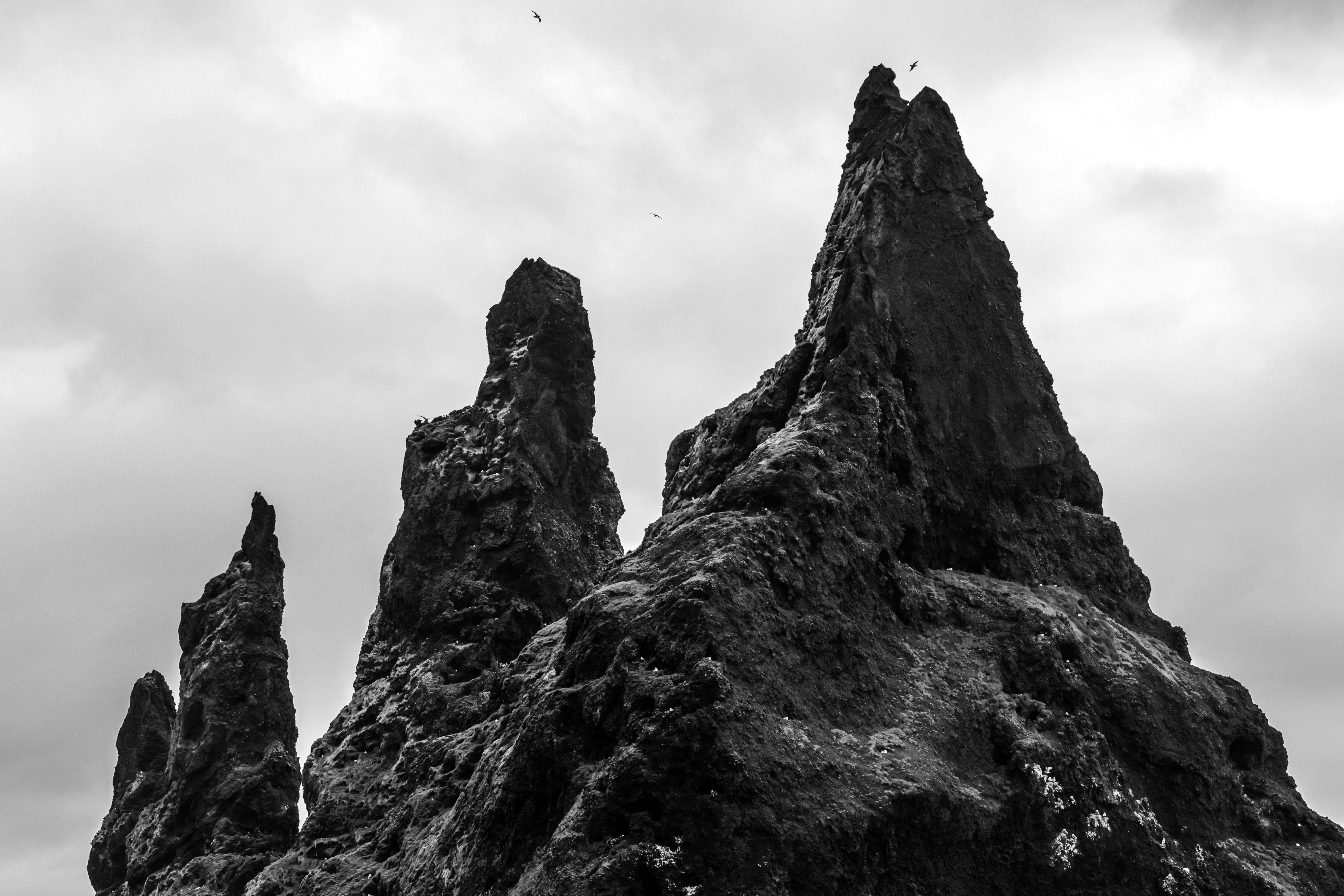 Photo by jossbroward