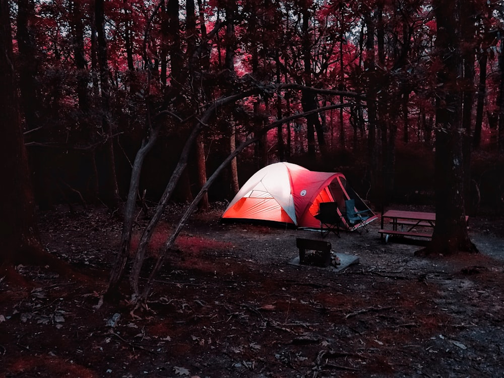 a tent pitched up in a wooded area