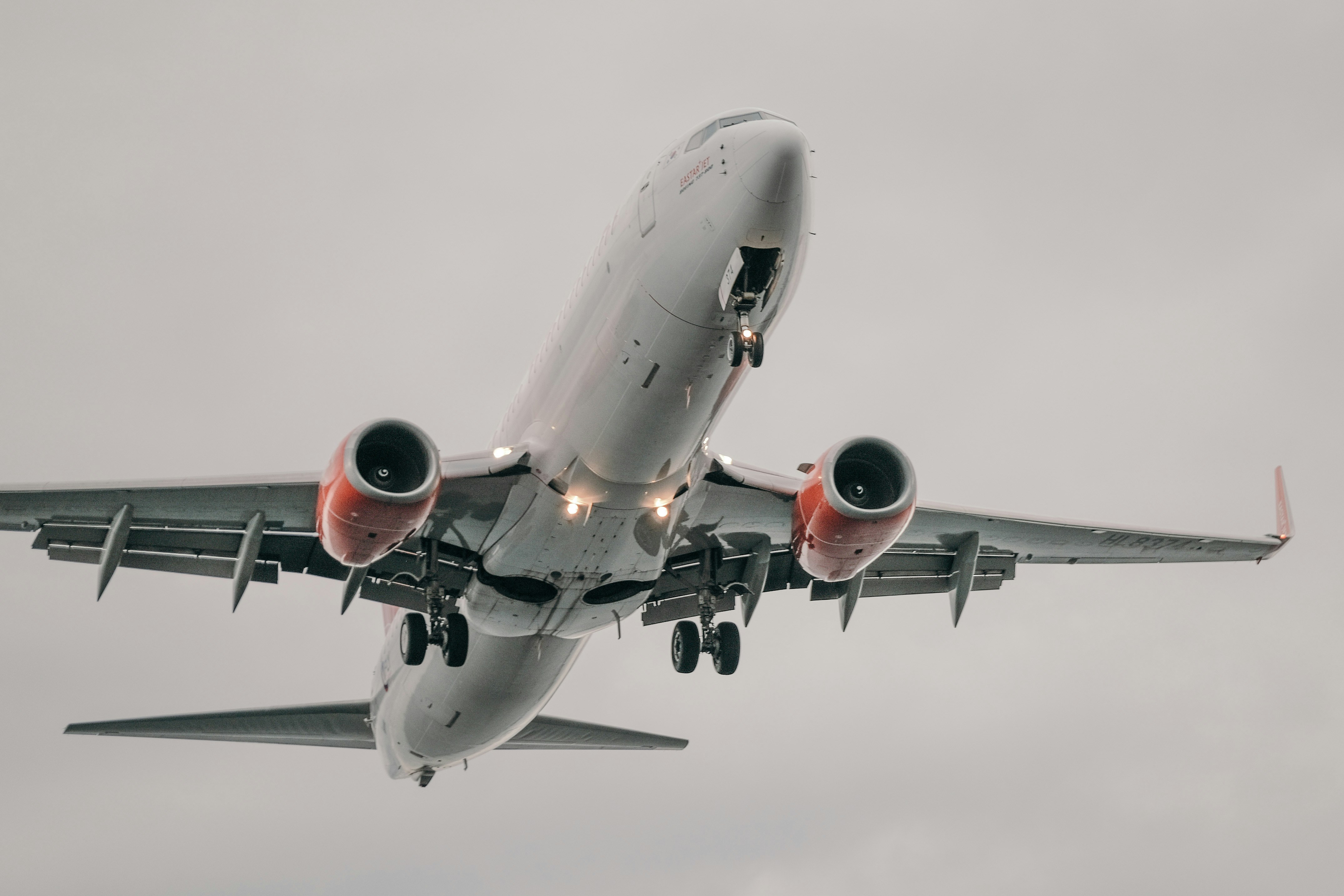 Photo by insungpandora