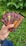 A hand is holding several chocolate bars with vibrant packaging that includes designs of dancing figures and bold text. The bars are labeled as 'dark chocolate' and 'coffee milk chocolate'. The background features green grass, suggesting an outdoor setting.