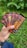 A hand is holding several chocolate bars with vibrant packaging that includes designs of dancing figures and bold text. The bars are labeled as 'dark chocolate' and 'coffee milk chocolate'. The background features green grass, suggesting an outdoor setting.