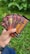 A hand is holding several chocolate bars with vibrant packaging that includes designs of dancing figures and bold text. The bars are labeled as 'dark chocolate' and 'coffee milk chocolate'. The background features green grass, suggesting an outdoor setting.