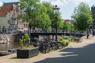 a bunch of bikes parked on the side of a street