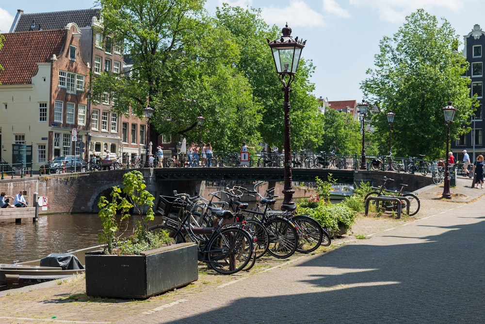 a bunch of bikes parked on the side of a street