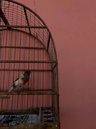 A sturdy square birdcage with a modern finish, perfect for small birds.