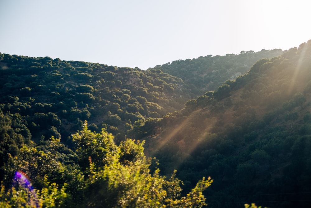 the sun shines brightly on a mountain side