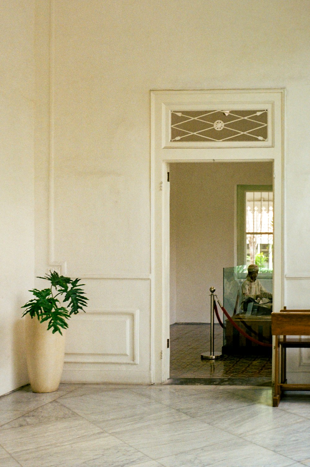 a room with a bench and a potted plant