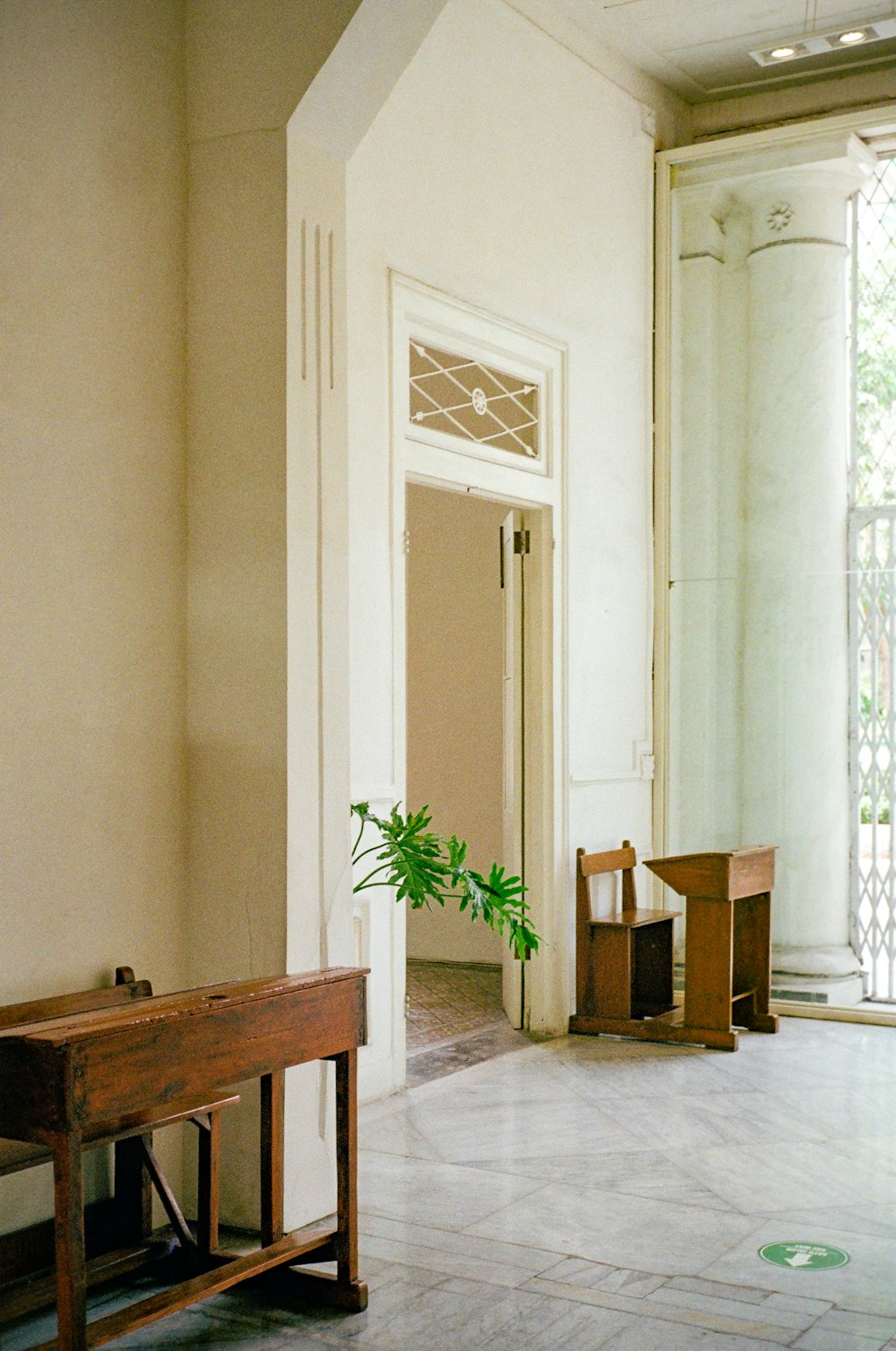 a room with a table and a plant in it