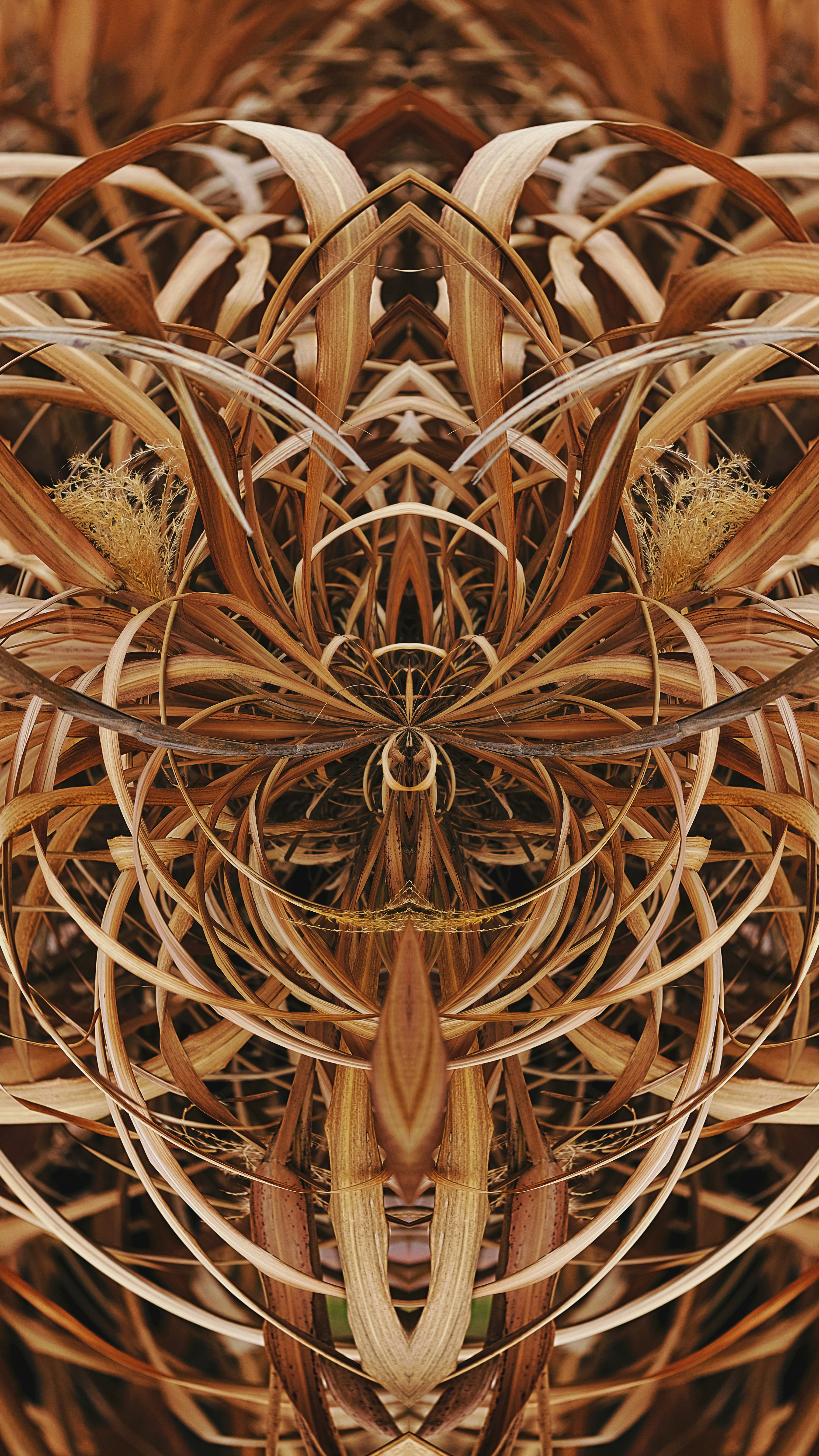 Photo by leiadakrozjhen