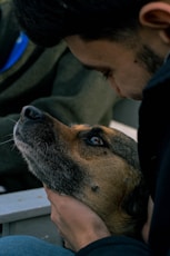 a man petting a dog on the nose