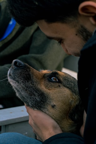 a man petting a dog on the nose