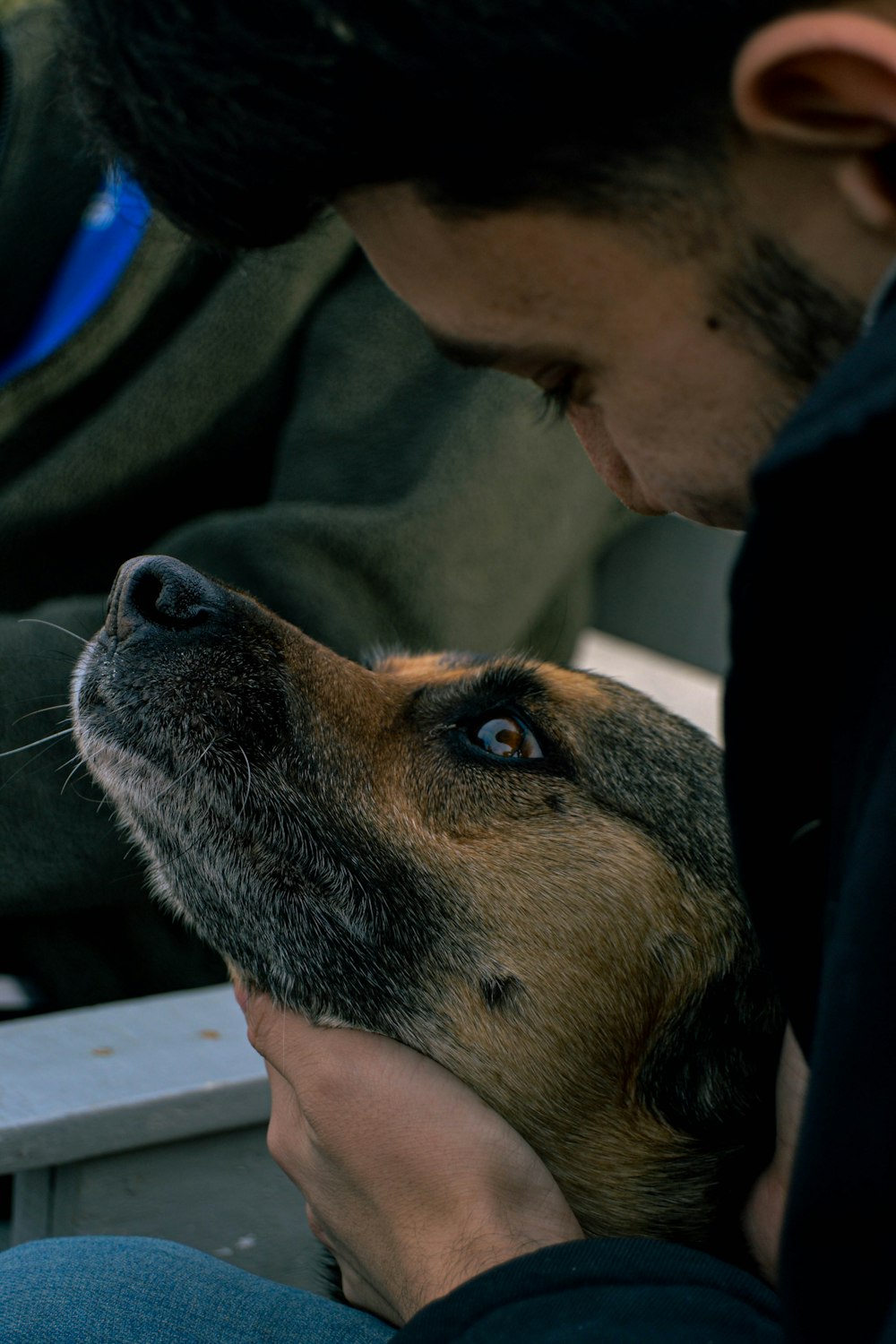 a man petting a dog on the nose