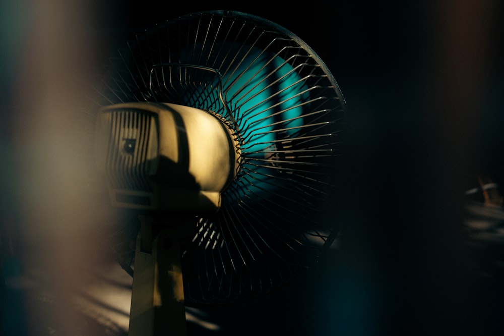 a close up of a fan on a table