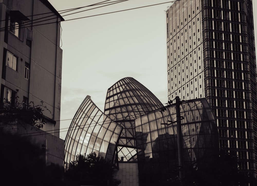 a black and white photo of a glass building