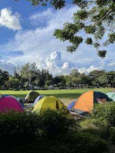 A group of friends enjoying a tent setup surrounded by lush greenery and morning sunlight.