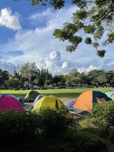 A group of friends enjoying a tent setup surrounded by lush greenery and morning sunlight.