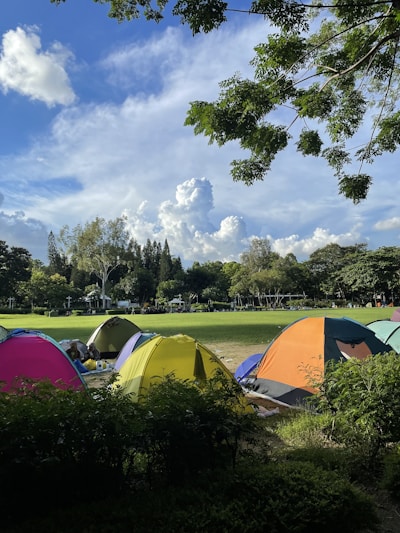 A vibrant outdoor event tent set up in a lush green park.