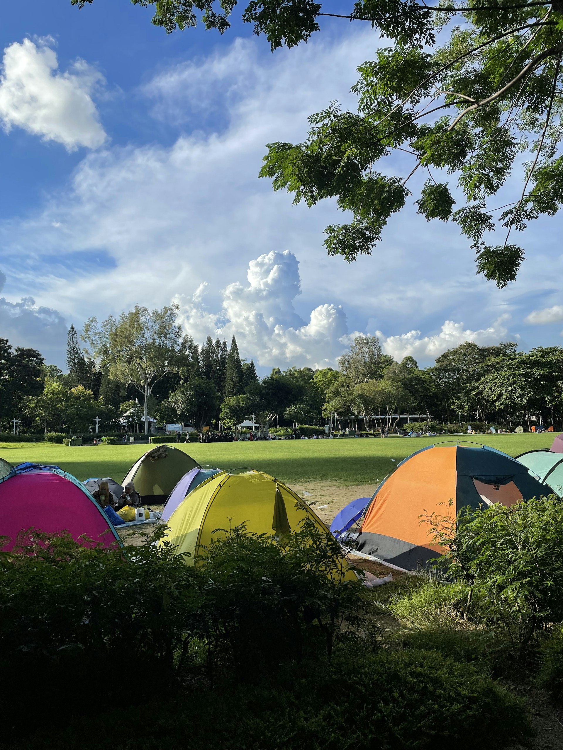 gray computer monitor