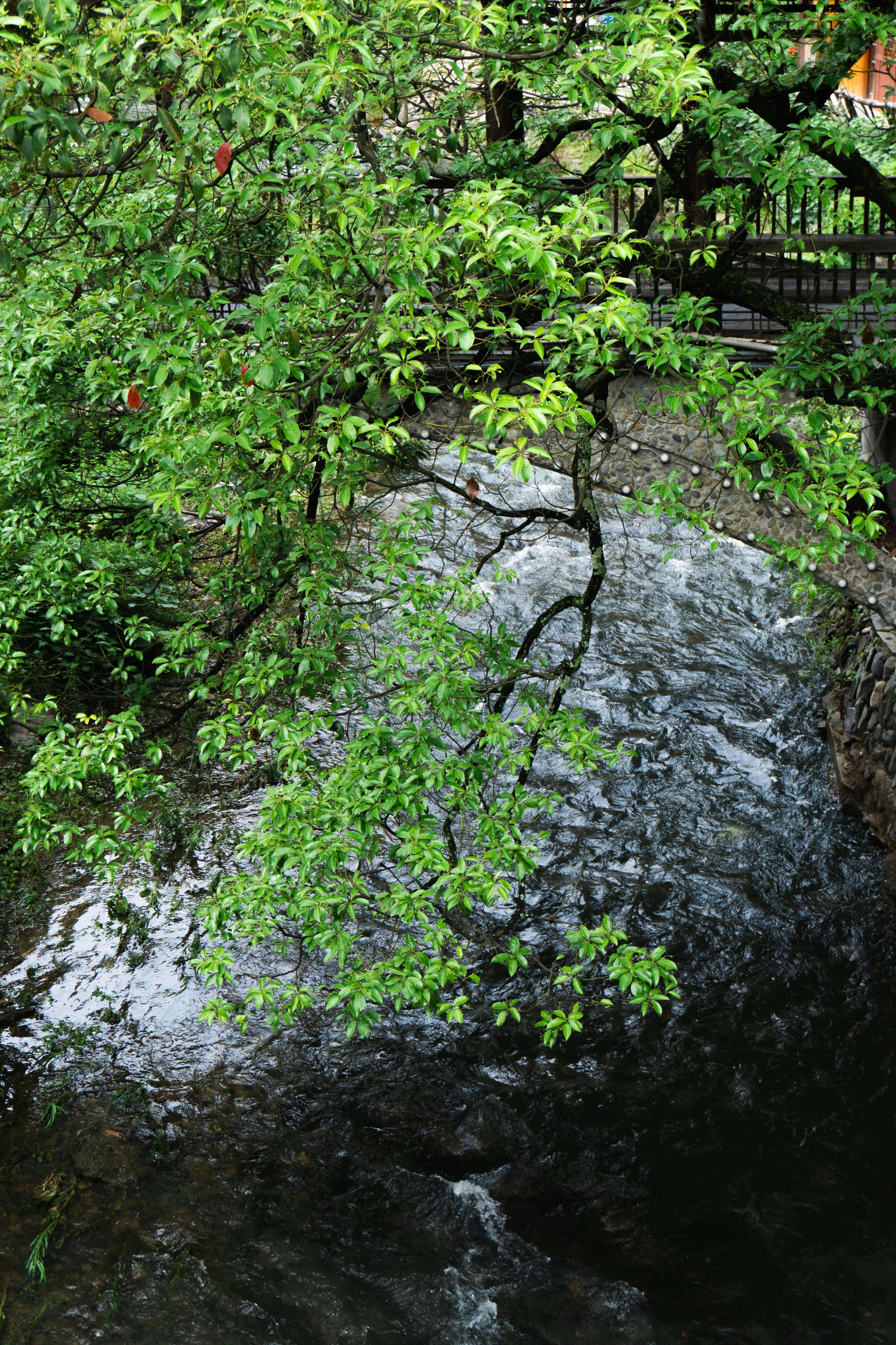 Photo by mw960367054