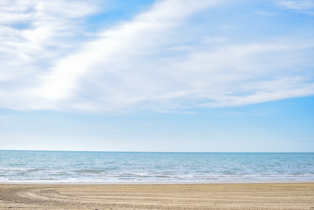 a person on a beach with a surfboard