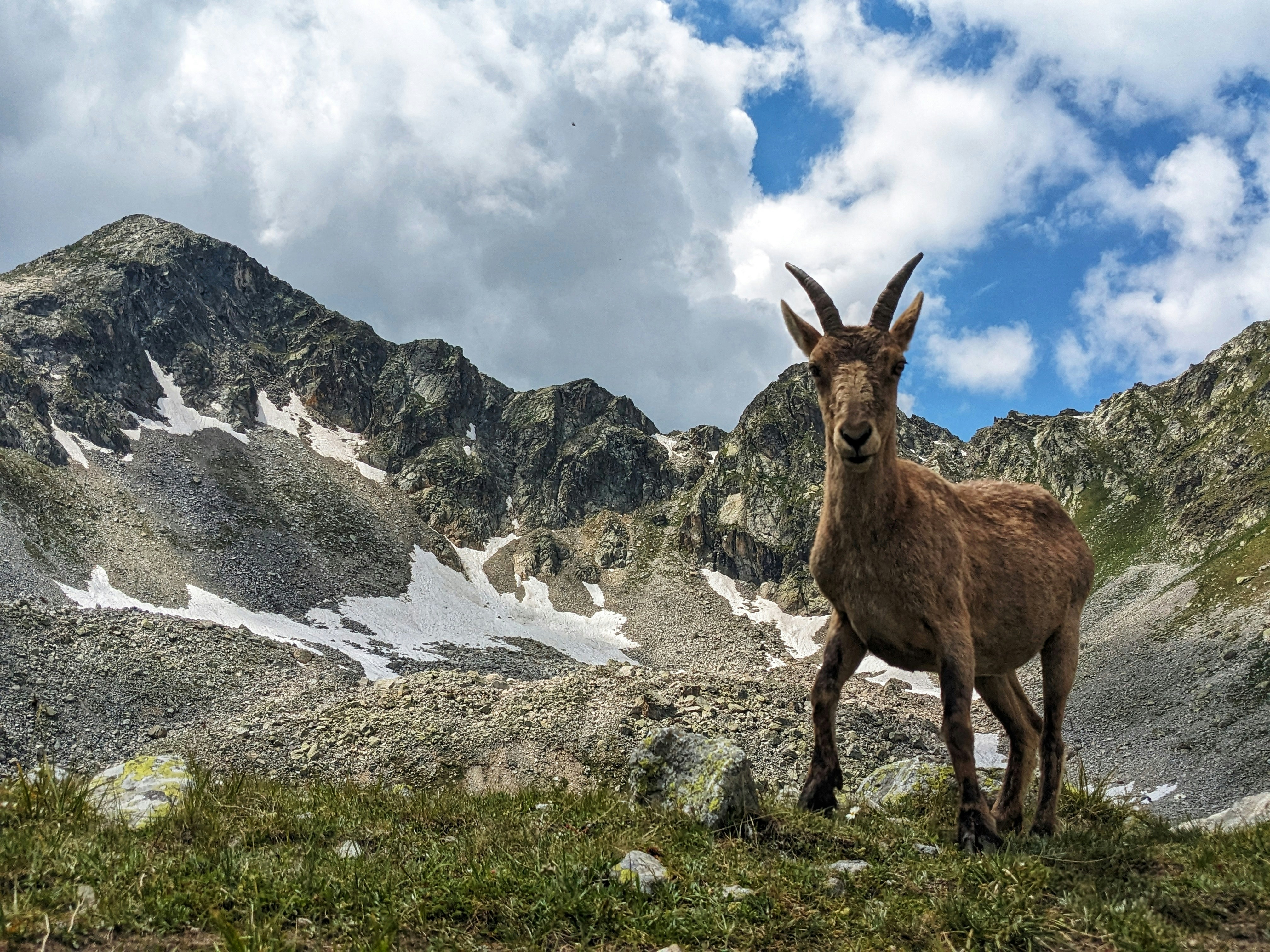 Photo by allenmilligun