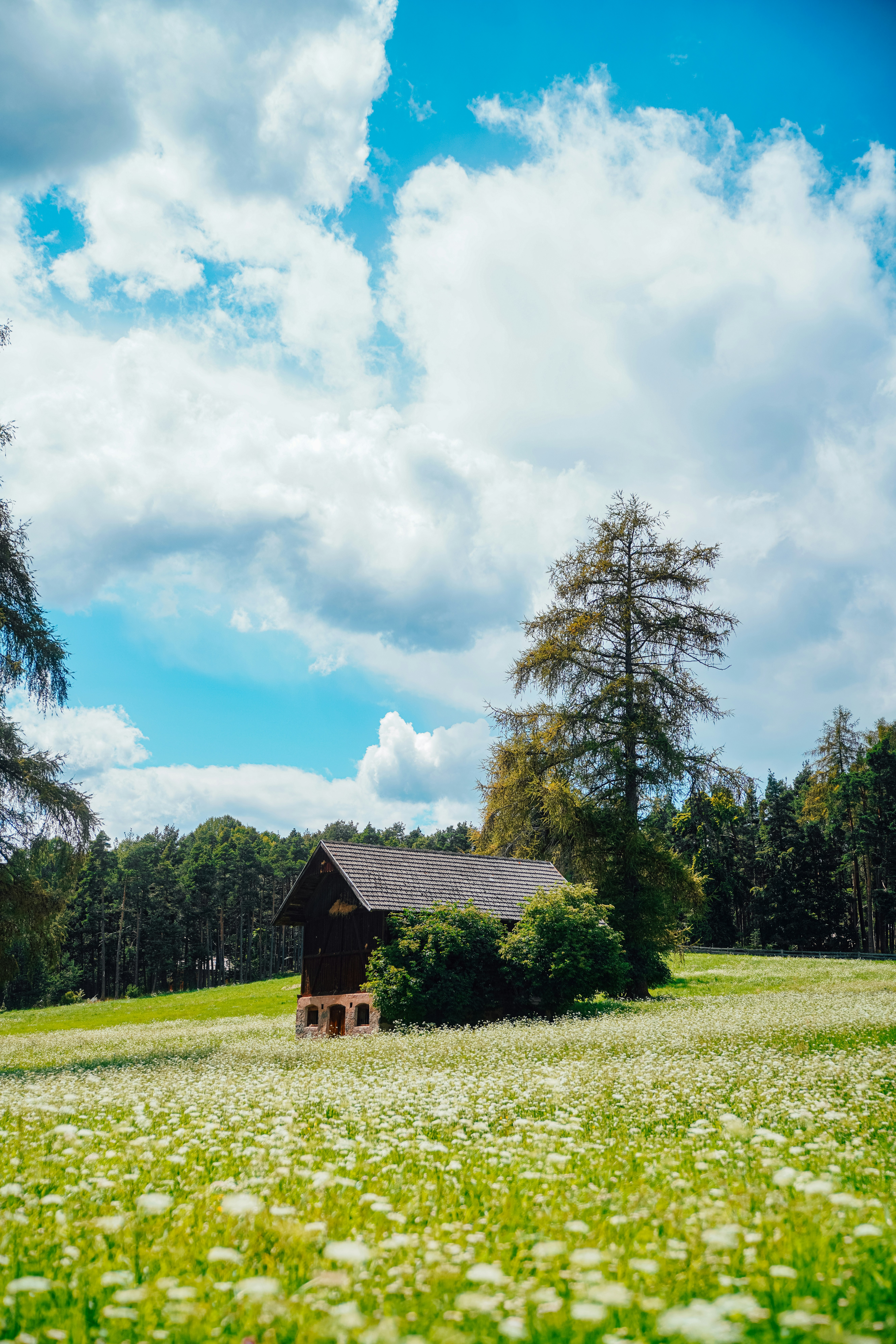 a small cabin in the middle of a field